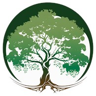 ООО Удаление деревьев "Мастер лес"