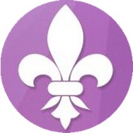  Fleur de lys