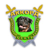 Аккорд