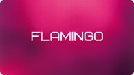 ООО Flamingo
