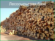 ООО Сибирский лес