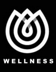 ИП WELLNESS