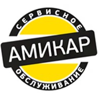 АмиКар