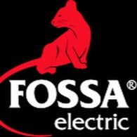 ООО Fossa Electric