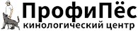 ПрофиПёс