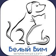 Белый Бим на Пионерской