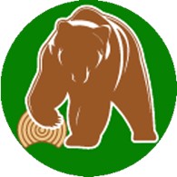 СК Медведь