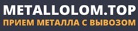 Экомет