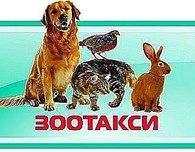 ЗООТАКСИ