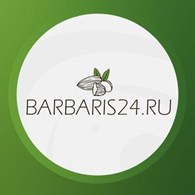 «Barbaris24.ru»