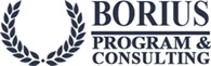 ИП Borius Program&Consulting