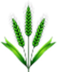 Курмаевский мукомольный комплекс