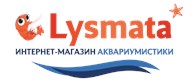 Lysmata