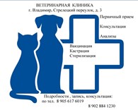 Ветеринарная клиника во Владимире