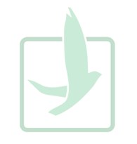 Чистый Лист