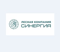 Синергия