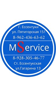  MServis