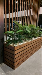 Фото компании  В цветах 61