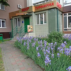 Офис турфирмы Мир