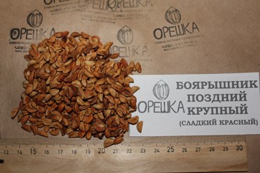 Фото компании ИП Орешка Питомник 8