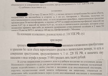 приговор по 228