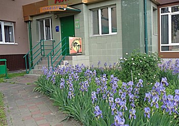 Офис турфирмы Мир