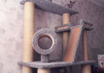 Многофункциональный комплекс для кошек