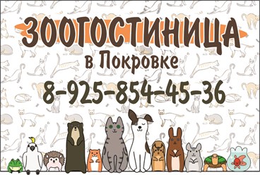 Фото компании  Зоогостиница "Маяк" 10