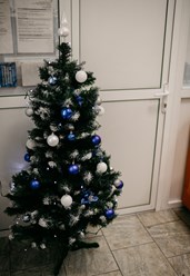 Фото компании ООО Туристическое агентство «Флай Тур» 1