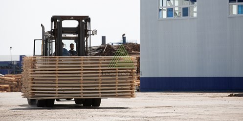 Фото компании ООО «ГосЛесФонд» 2