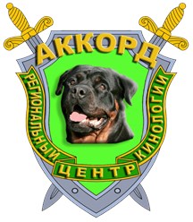 Фото компании ООО Аккорд 1