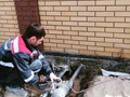 Фото компании ООО СК Триумф НН 6