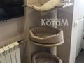 Фото компании  Мебель для кошек КотаМ 4