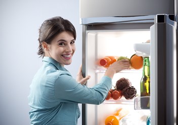 Ремонт холодильников морозильных камерна дому