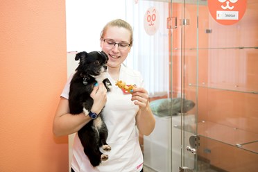 Фото компании  BookingCat 4