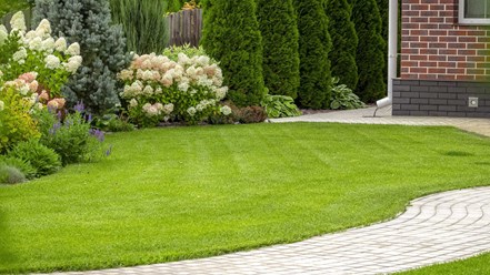 Фото компании ИП Ставропольские рулонные газоны 2