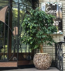 Фото компании  Street Stone 8