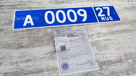 Дубликаты номеров для МВД