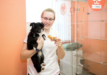 Фото компании  BookingCat 4