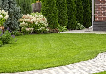 Фото компании ИП Ставропольские рулонные газоны 2