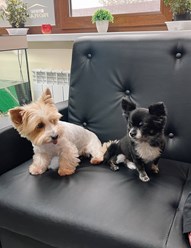 Фото компании ООО Планета 1