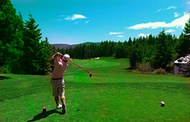 Фото компании  «GAZON GROUP». 1