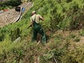 Нагорный парк, ландшафтные работы