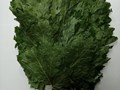 Фото компании  ВенБа 4