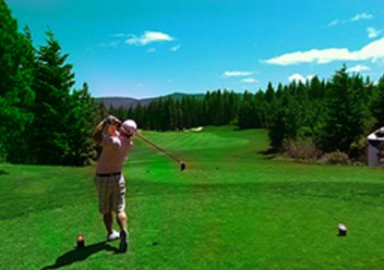 Фото компании  «GAZON GROUP». 1