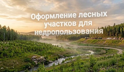 Оформление лесных участков для недропользования