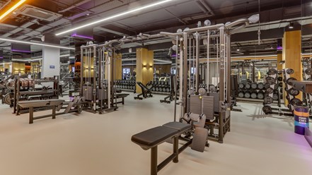 Фото компании  DDX Fitness 6