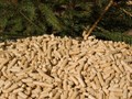 Пеллеты из хвои