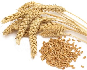 Фото компании ООО Агро Партнер 2