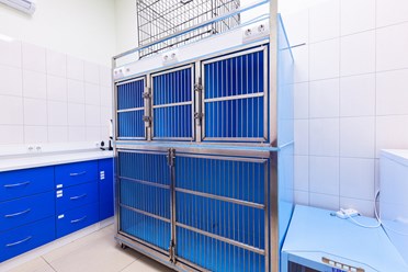 Фото компании  Центр ветеринарной офтальмологии доктора Шилкина А.Г. на ул. Островитянова 3